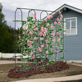 Maxbell Garden Cucumber Trellis for Fruit Vegetable for Raised Bed Metal Pea Trellis