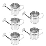 Maxbell 5 Pieces Small Watering Cans Garden Water Kettles for Office Yard Houseplant