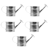 Maxbell 5 Pieces Small Watering Cans Garden Water Kettles for Office Yard Houseplant
