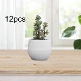Maxbell 12 Pieces Small Flower Pots Simple Containers for Yard Balcony Indoor Plants White