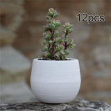 Maxbell 12 Pieces Small Flower Pots Simple Containers for Yard Balcony Indoor Plants White