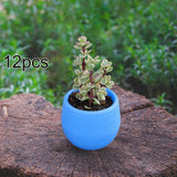 Maxbell 12 Pieces Small Flower Pots Simple Containers for Yard Balcony Indoor Plants Blue