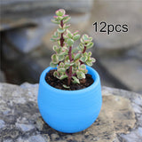 Maxbell 12 Pieces Small Flower Pots Simple Containers for Yard Balcony Indoor Plants Blue
