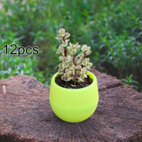 Maxbell 12 Pieces Small Flower Pots Simple Containers for Yard Balcony Indoor Plants Green
