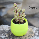 Maxbell 12 Pieces Small Flower Pots Simple Containers for Yard Balcony Indoor Plants Green