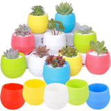 Maxbell 12 Pieces Small Flower Pots Simple Containers for Yard Balcony Indoor Plants Mixed Colors