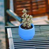 Maxbell 12 Pieces Small Flower Pots Simple Containers for Yard Balcony Indoor Plants Mixed Colors