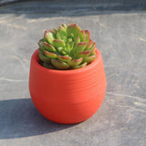 Maxbell 12 Pieces Small Flower Pots Simple Containers for Yard Balcony Indoor Plants Mixed Colors