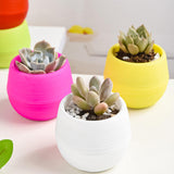 Maxbell 12 Pieces Small Flower Pots Simple Containers for Yard Balcony Indoor Plants Mixed Colors