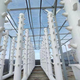Maxbell 10x Hydroponic Colonization Cups Growing System Kit for Plant Plant Grow Pot