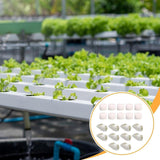 Maxbell 10x Hydroponic Colonization Cups Planter Growing System Kit Hydroponic Tower