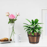 Maxbell Wooden Flower Pot with Handle Decorative Flowerpot for Bedroom Office Garden
