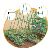 Maxbell Cucumber Trellis Portable Plant Stakes for Climbing Plants Raised Bed Fruits 60 cmx60 cm
