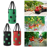 Maxbell Hanging Planter Bag Strawberry Compact 3 gallons for Gardening Garden Flower Green