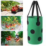 Maxbell Hanging Planter Bag Strawberry Compact 3 gallons for Gardening Garden Flower Green