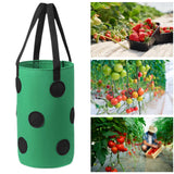 Maxbell Hanging Planter Bag Strawberry Compact 3 gallons for Gardening Garden Flower Green