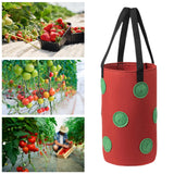 Maxbell Hanging Planter Bag Strawberry Compact 3 gallons for Gardening Garden Flower Red