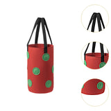 Maxbell Hanging Planter Bag Strawberry Compact 3 gallons for Gardening Garden Flower Red