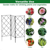 Maxbell Climbing Plants Garden Trellis Garden Vine Support Rack for Outside Cucumber 3pcs