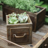 Maxbell Wooden Planter Box Decorative Flower Vase for Home Garden Dining Room Indoor 14x14x13.5cm