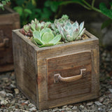 Maxbell Wooden Planter Box Decorative Flower Vase for Home Garden Dining Room Indoor 14x14x13.5cm