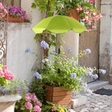 Maxbell Plant Umbrella for Outdoor Plants Shade Umbrella for Potted Plant Flower Pot green