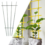 Maxbell Plant Trellis for Climbing Plants Indoor and Outdoor for Houseplants Balcony