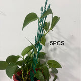 Maxbell 5 Pieces Plant Stakes Potted Flower Support for Houseplants Monstera Flowers