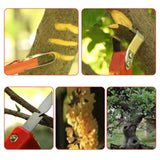 Maxbell Barks Removal Tool Compact Multipurpose Crack Weeder for Lawn Patio Grafting 19x5cm