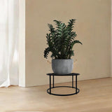 Maxbell Plant Stand Plant Table Desktop Plant Stool for Home Living Room Dining Room