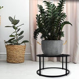 Maxbell Plant Stand Plant Table Desktop Plant Stool for Home Living Room Dining Room