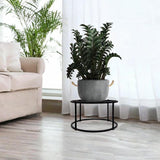 Maxbell Plant Stand Plant Table Desktop Plant Stool for Home Living Room Dining Room