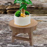 Maxbell Wooden Stool for Plant Rustic Plant Stool for Bonsai Potted Plant Home Decor