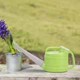Maxbell Plant Watering Can Long Spout for Potted Plants Houseplants Indoor Gardening 46cmx17.5cm  2.5L Green