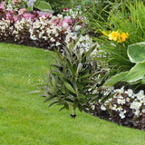 Maxbell Artificial Olive Tree Realistic Bushes Plants for Wedding Farmhouse Backyard