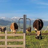 Maxbell Fence Post Driver with Handles for Installing Fences Sturdy Hand Post Rammer Black