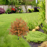 Maxbell Fake Fall Plant Faux Shrub Outdoor Artificial Topiary Tree with Ground Spike