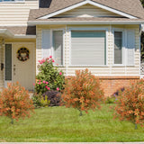 Maxbell Fake Fall Plant Faux Shrub Outdoor Artificial Topiary Tree with Ground Spike