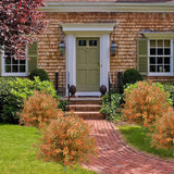 Maxbell Fake Fall Plant Faux Shrub Outdoor Artificial Topiary Tree with Ground Spike