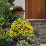 Maxbell Artificial Flower Garden Stake Romantic Ornament for Wedding Flower Bed Lawn