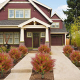 Maxbell Artificial Plant Garden Stake Elegant Realistic Plant for Yard Porch Wedding