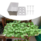 Maxbell Hydroponics Growing System Kit Convenient Sturdy for Parterre Garden Balcony White
