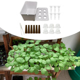 Maxbell Hydroponics Growing System Hydroponics Grower Kit for Hotel Parterre Balcony White