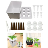 Maxbell Hydroponics Growing System Hydroponics Grower Kit for Hotel Parterre Balcony White