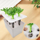 Maxbell Hydroponics Growing System Hydroponics Grower Kit for Hotel Parterre Balcony White