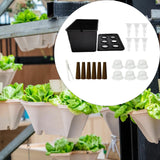 Maxbell Hydroponics Growing System Hydroponics Grower Kit for Hotel Parterre Balcony Black