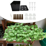 Maxbell Hydroponics Growing System Hydroponics Grower Kit for Hotel Parterre Balcony Black