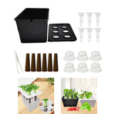 Maxbell Hydroponics Growing System Hydroponics Grower Kit for Hotel Parterre Balcony Black