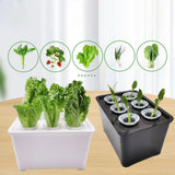Maxbell Hydroponics Growing System Hydroponics Grower Kit for Hotel Parterre Balcony Black