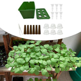 Maxbell Hydroponics Growing System Hydroponics Grower Kit for Hotel Parterre Balcony Green
